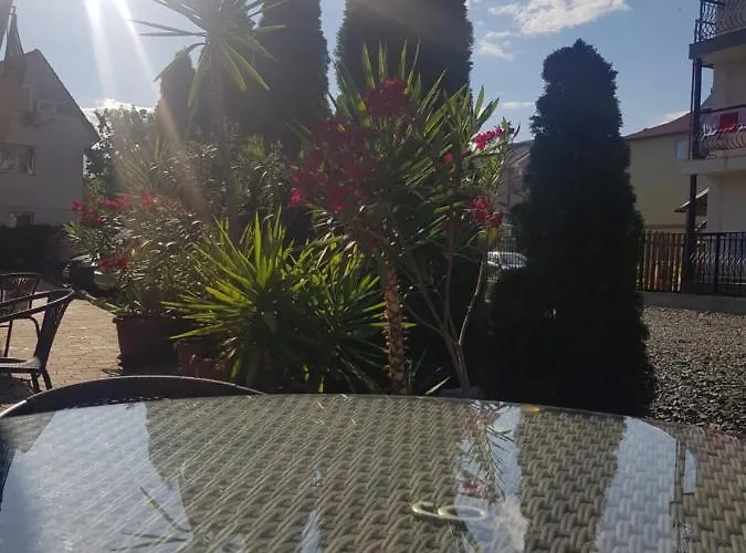 Konukevi 45 & Casa Galbena Costinești