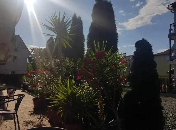 Konukevi 45 & Casa Galbena 3*