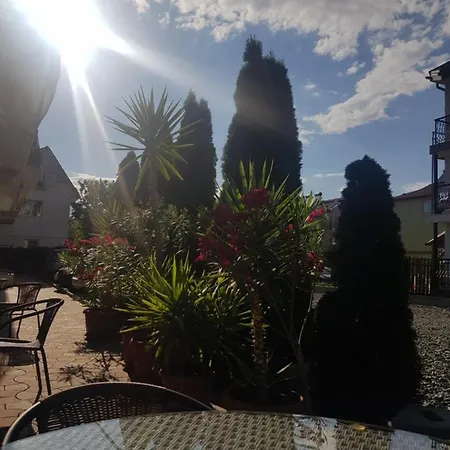 Guest house Casa Galbena *