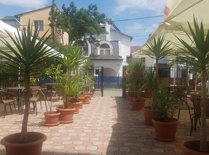 45 & Casa Galbena 科斯蒂内什蒂