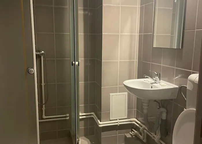 招待所 45 & Casa Galbena 科斯蒂内什蒂